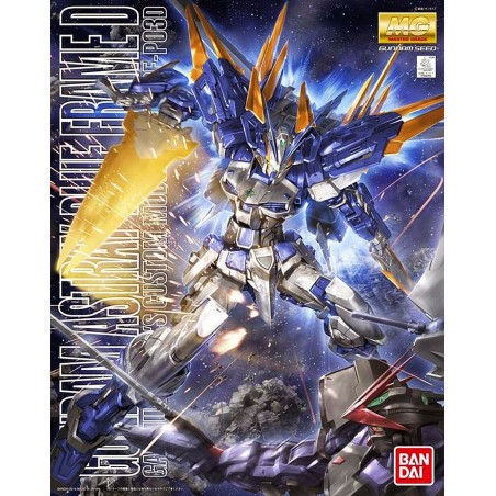 Bandai 1/100 MG Gundam Astray Blue Frame D model kit