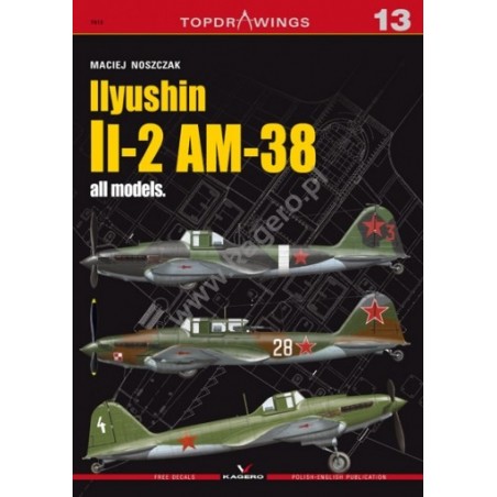 13 - Ilyushin Il-2 AM-38 all models (decals)