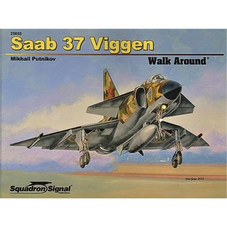 Saab 37 VIGGEN (Walk Around)