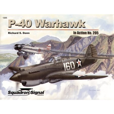 Curtiss P-40 Warhawk (In Action Series) 