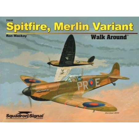 Supermarine Spitfire (MERLIN VARIANT) Walk Around 