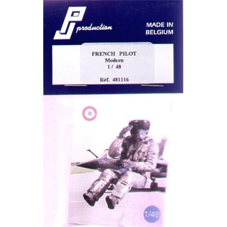 1/48 Modern French Pilot seated in aircraft  (resin)