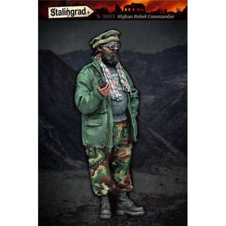 Afghan Rebel Commander  