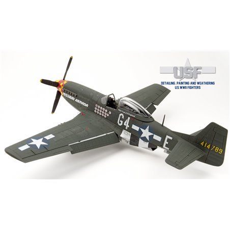Detailing, Painting and Weathering United States WWII Fighters