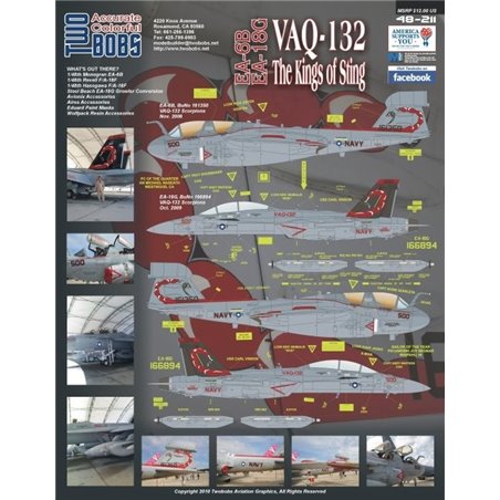 1/48 Decals Grumman EA-6B Prowler/Boeing EA-18G Prowler VAQ-132 The Kings of Sting