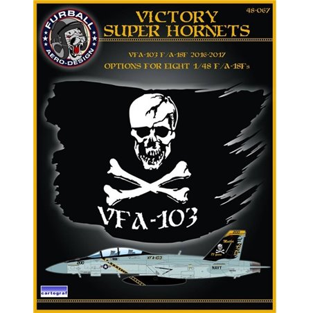 1/48 decals “Victory Superhornets" 