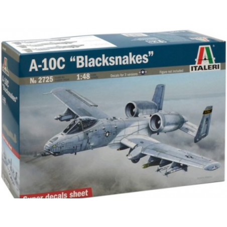 1/48 A-10C "Blacksnakes"