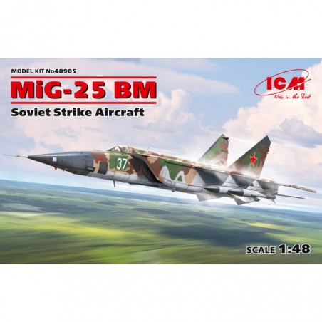 1/48 MIG-25 BM, SOVIET STRIKE AIRCRAFT