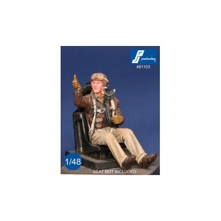1/48 USAF fighter pilot seated in a/c (WWII) (resin)