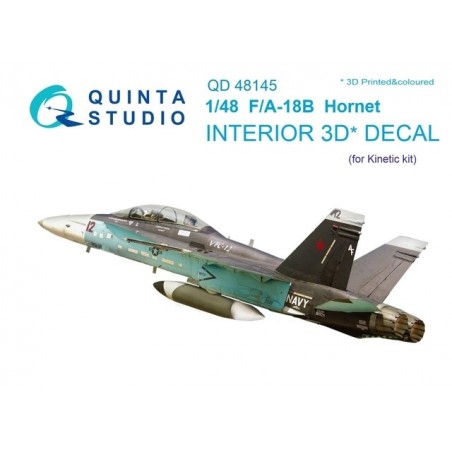 1/48 F/A-18B Hornet  (kinetic)