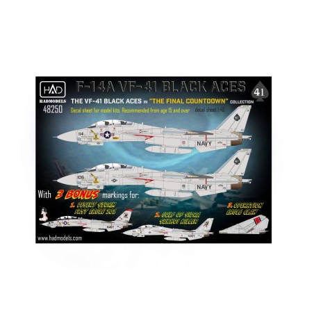 HAD 1/48 Calcas F-14A Black Aces ”The Final Countdown”