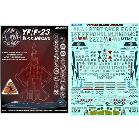 Furball Calcas 1/48 Northrop YF/F-23 Black Widows