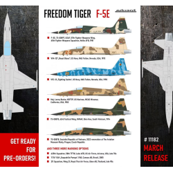 Eduard 1/48 F5-E FREEDOM TIGER Limited Edition aircraft model kit 2