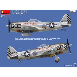 Miniart 1/48 P-47D-30Re Thunderbolt Basic Kit 2