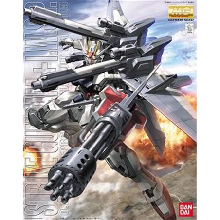 1/100 MG Strike Gundam IWSP 