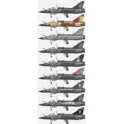 Kitty Hawk 1/32 Mirage 2000 D/N 2