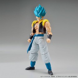 ⚡ Super Saiyan God Super Saiyan Gogeta - Dragon Ball Super | Bandai 2