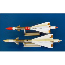 Missile R-40R