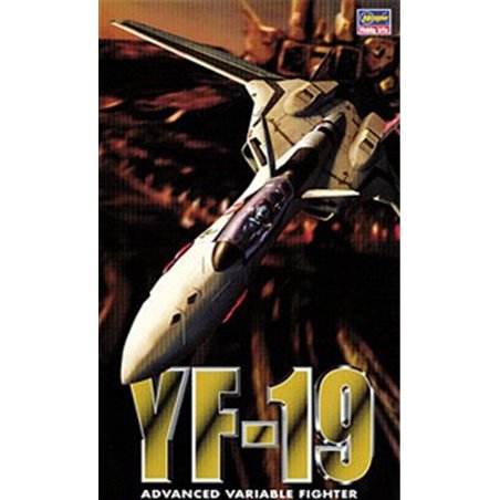 1/72 YF-19 Fighter