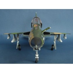 Republic F-105 G Wild Weasel 2