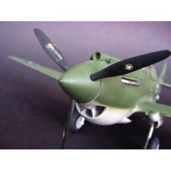 Curtiss P-40B Warhawk 2