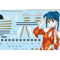Hasegawa 1/72 VF-1 Valkyrie Minmay 2009 Special Limited Edition 2