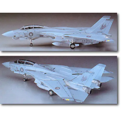 Hasegawa 1/72 MACROSS ZERO: F-14 2