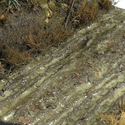 TERRAINS WET GROUND - 250ml (Acrylic) 2