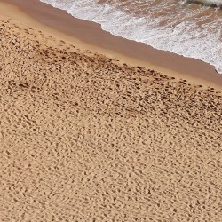 TERRAINS BEACH SAND - 250ml (Acrylic) 2