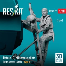 Rafale (C, M) female pilot (with access ladder - type 1) (1 pcs) (3D Printed) 2