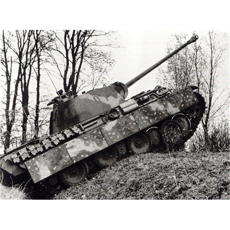 Disc camo paint masks