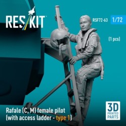 Rafale (C, M) female pilot (with access ladder - type 1) (1 pcs) (3D Printed) 2