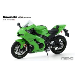 Kawasaki ZX-10RR (Pre-colored Edition) 2