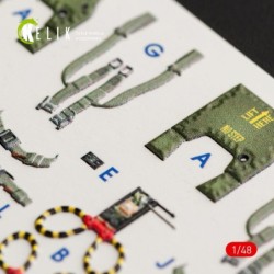 F-4G interior 3D decals for Meng kit 2