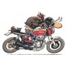 Motos
