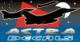 Astra Decals