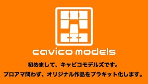 Cavico Models