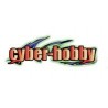 Cyber-hobby