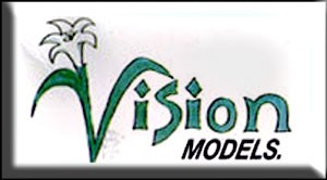 Vision Models